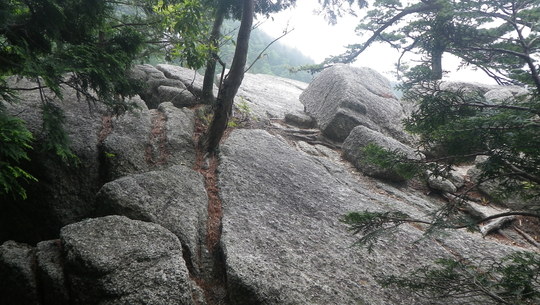 c0042847_111630.jpg