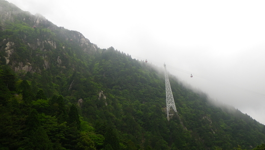 c0042847_1121199.jpg