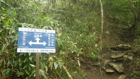 c0042847_1145227.jpg