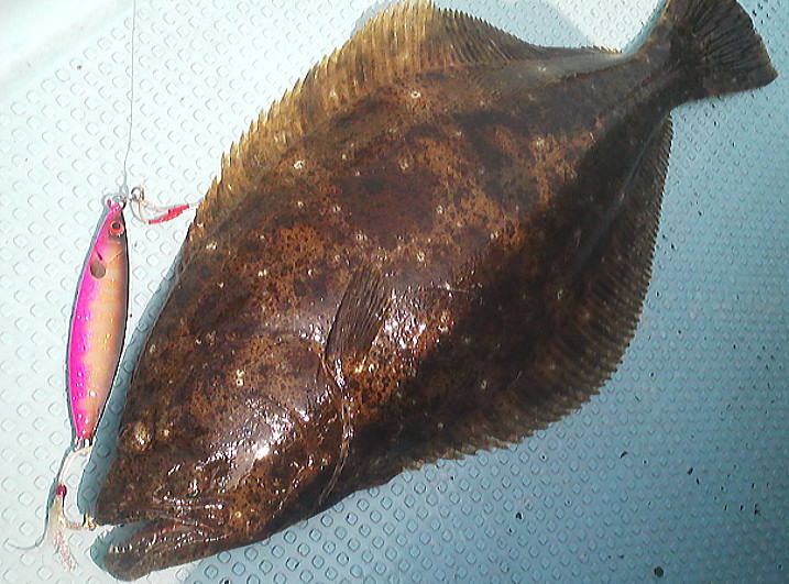 f0231048_8394085.jpg