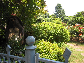 d0063149_22501569.jpg