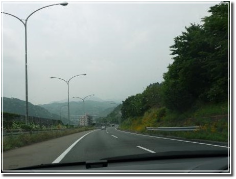 d0118050_1630779.jpg