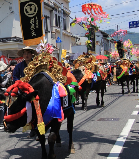 d0163550_8542750.jpg
