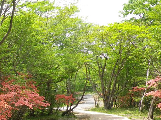 b0220251_185156100.jpg