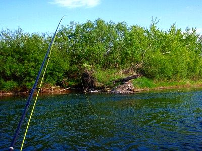 c0097652_21193985.jpg