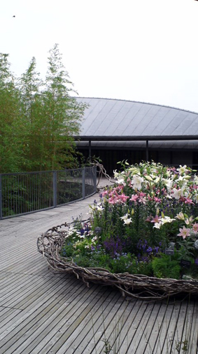 f0178153_1718840.jpg