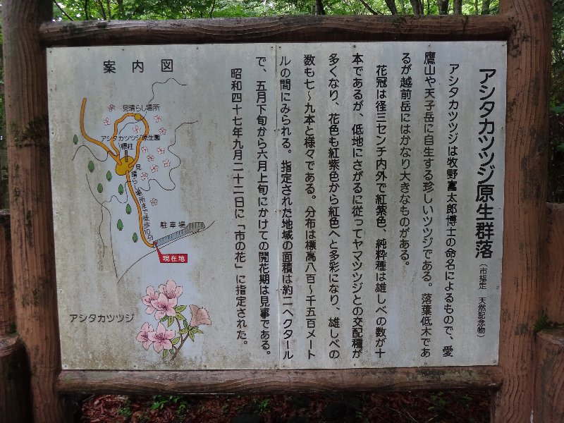 f0155954_842271.jpg
