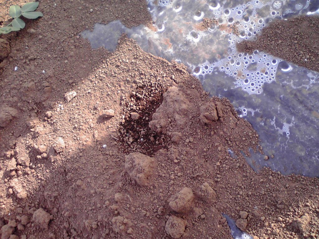 f0057955_2213392.jpg