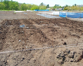 e0004756_21295446.jpg