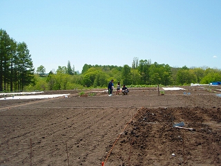 e0004756_21302898.jpg
