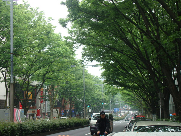 f0198556_2164716.jpg