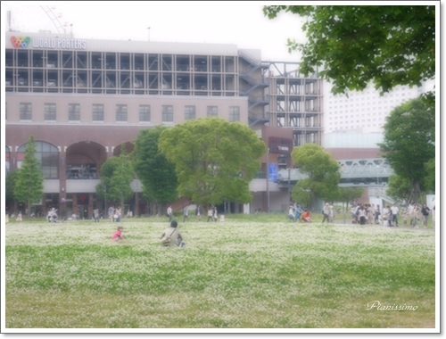 b0138661_7173250.jpg