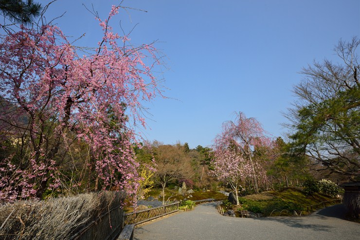 f0222161_20561775.jpg