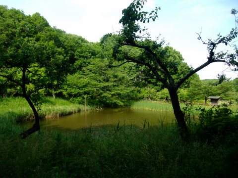 e0045768_21543854.jpg