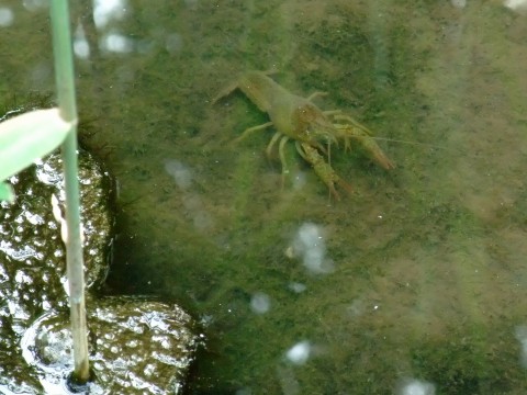 e0045768_21564869.jpg