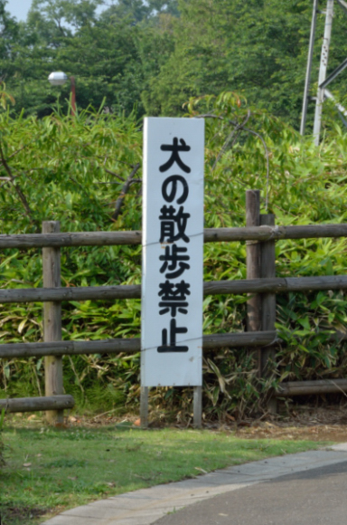 f0065768_22474151.jpg