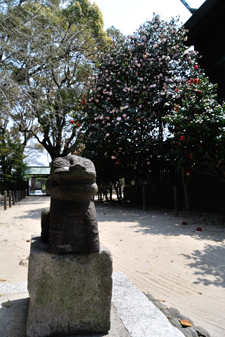 b0170969_2251444.jpg