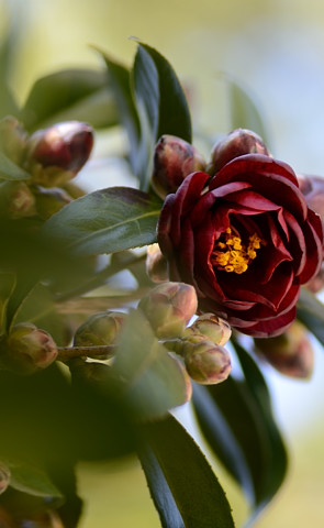 b0170969_2254537.jpg