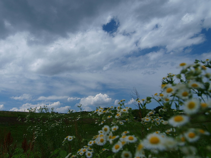 a0260570_120479.jpg
