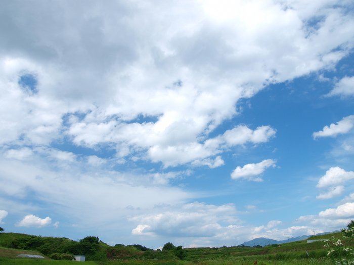 a0260570_1241265.jpg