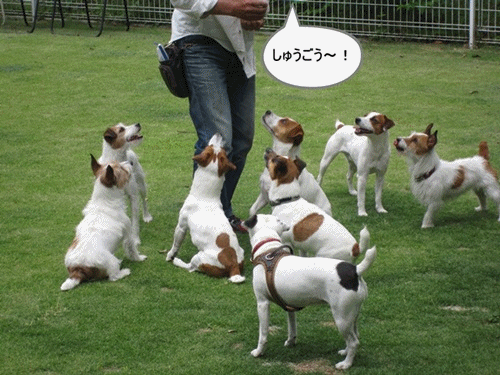f0100871_1414697.gif