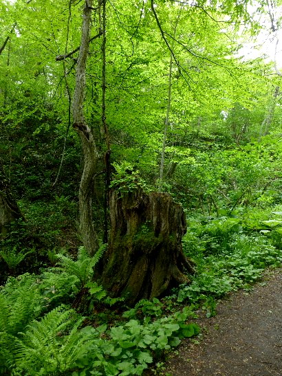 d0084473_20184763.jpg
