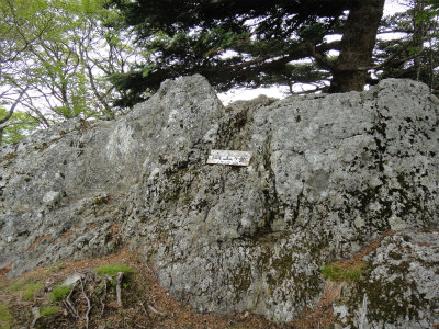d0182075_514437.jpg