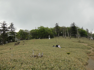 d0182075_5161969.jpg