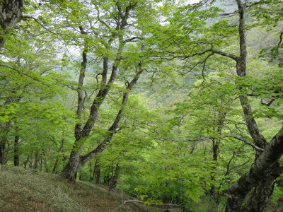 d0182075_5255552.jpg