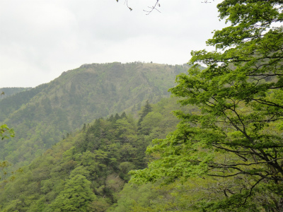 d0182075_5265459.jpg