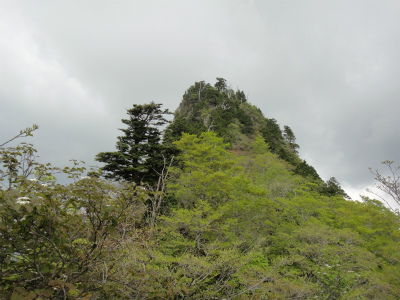 d0182075_5535384.jpg
