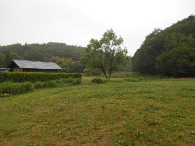 c0206177_944214.jpg
