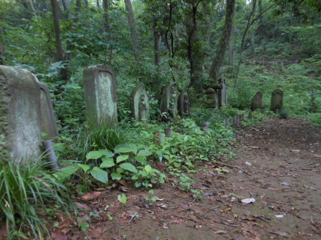 c0206177_9445027.jpg