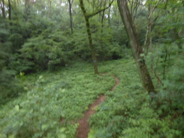 c0206177_9451782.jpg