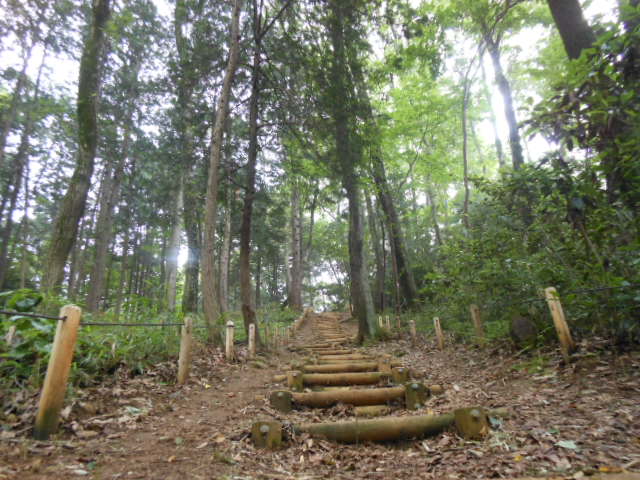 c0206177_946265.jpg