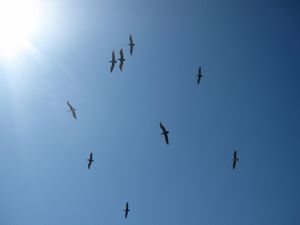 c0188178_115822.jpg