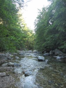 c0188178_1204059.jpg