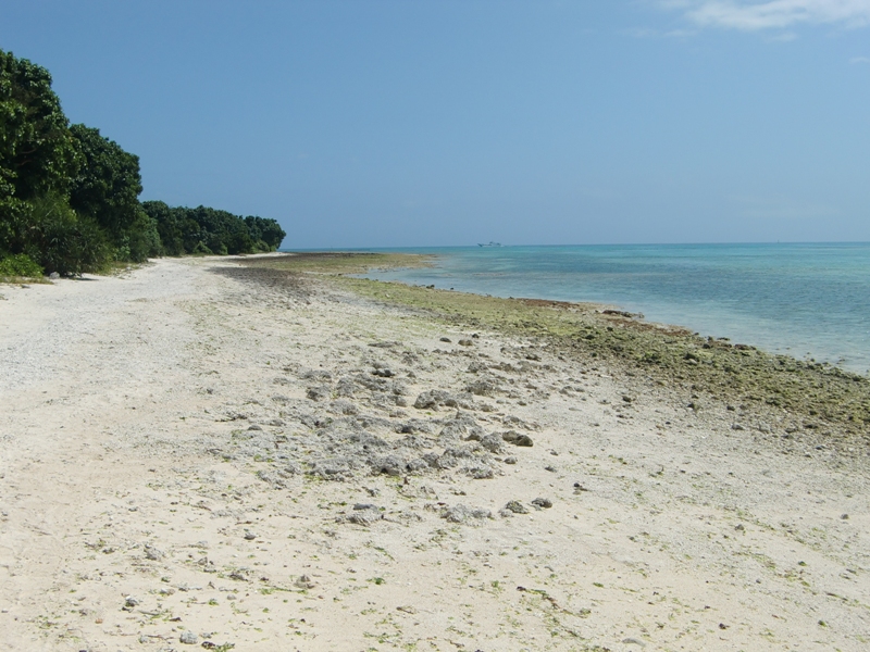 f0238779_6475163.jpg