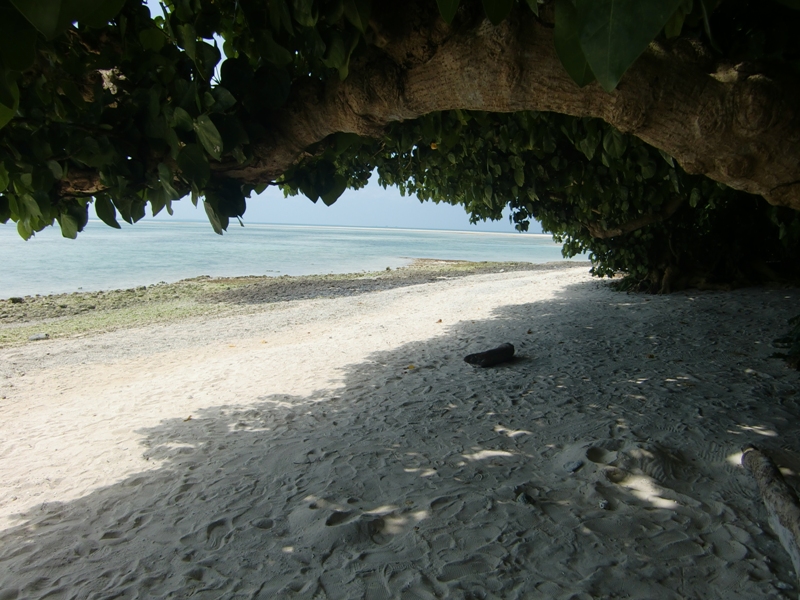f0238779_648101.jpg