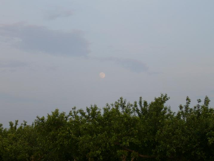 c0198781_231529.jpg