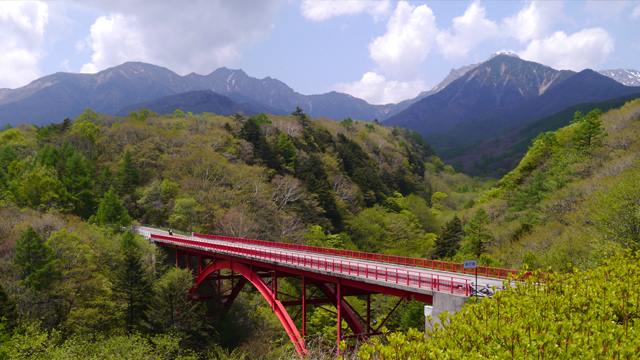 d0099181_16261082.jpg