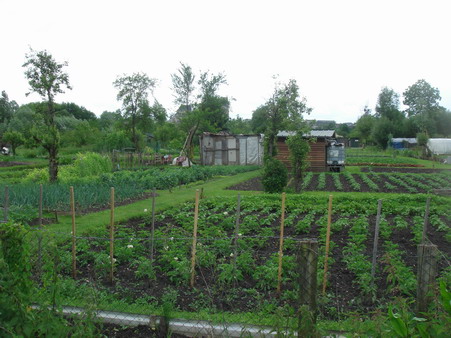 a0247585_82341100.jpg