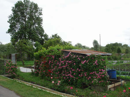 a0247585_8241036.jpg