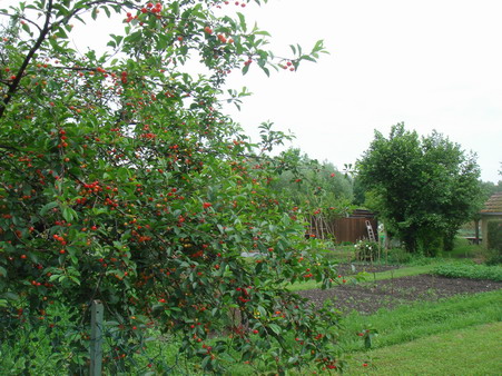 a0247585_8251589.jpg