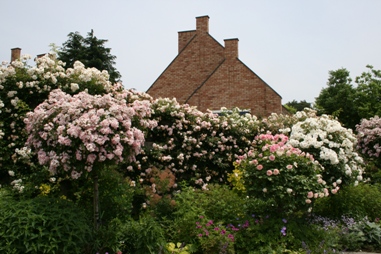 f0007587_2239148.jpg