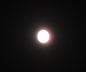 b0162388_2043620.jpg