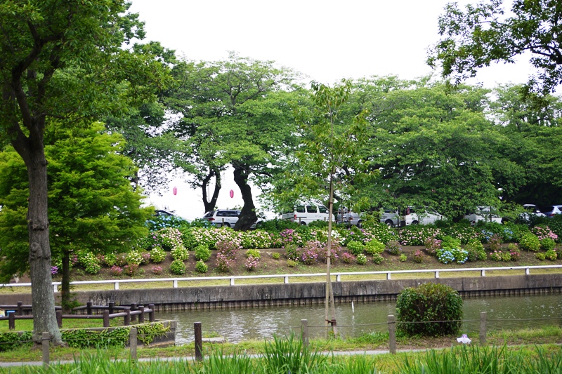 a0127090_2152541.jpg