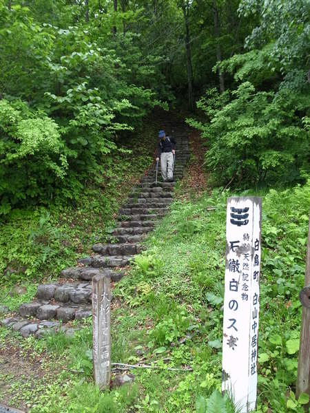 e0271890_17381210.jpg