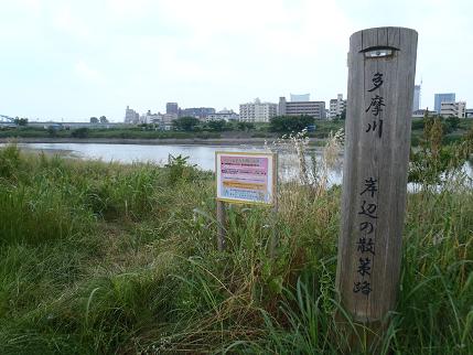f0202990_02376.jpg
