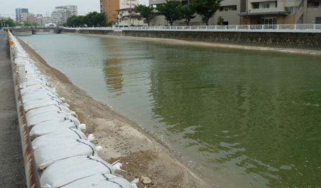 f0166694_19322734.jpg